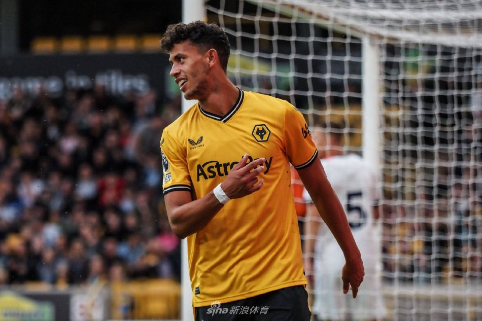 养高水平球 养高水平球